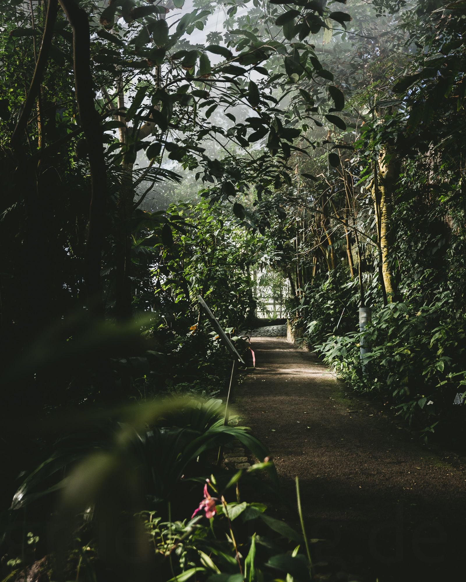 Bayreuth: Ökologisch Botanischer Garten der Universität Bayreuth