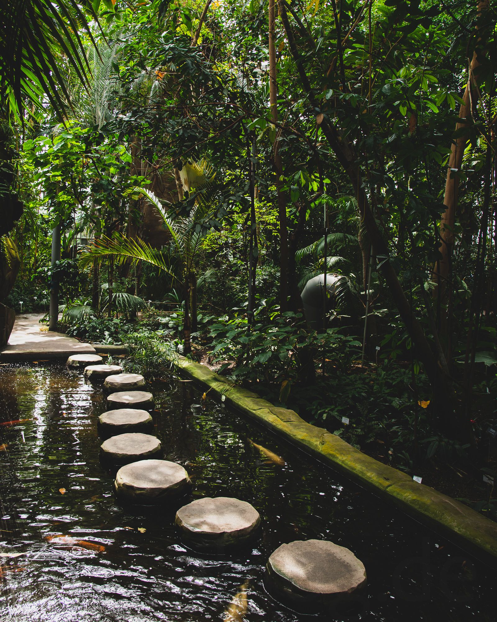 Berlin: Botanischer Garten Berlin