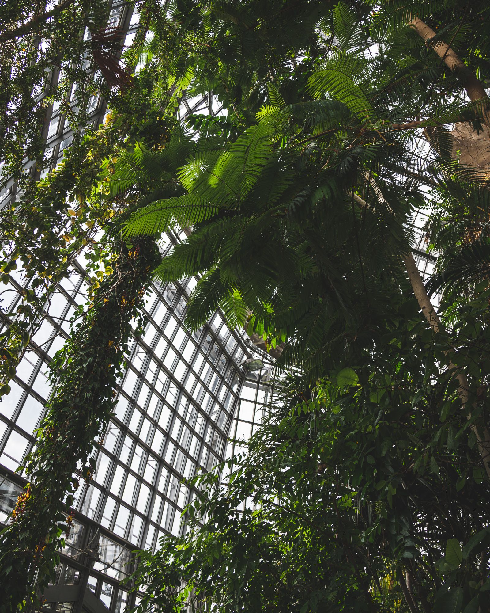 Berlin: Botanischer Garten Berlin