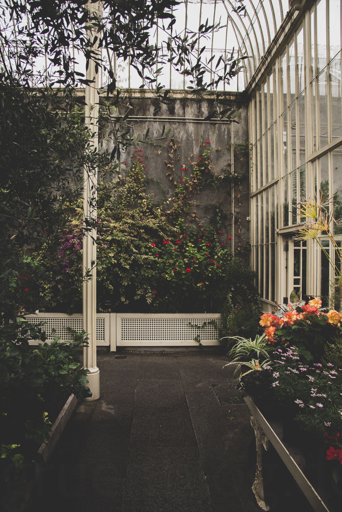 Dublin:  Glasnevin - The National Botanical Gardens of Ireland