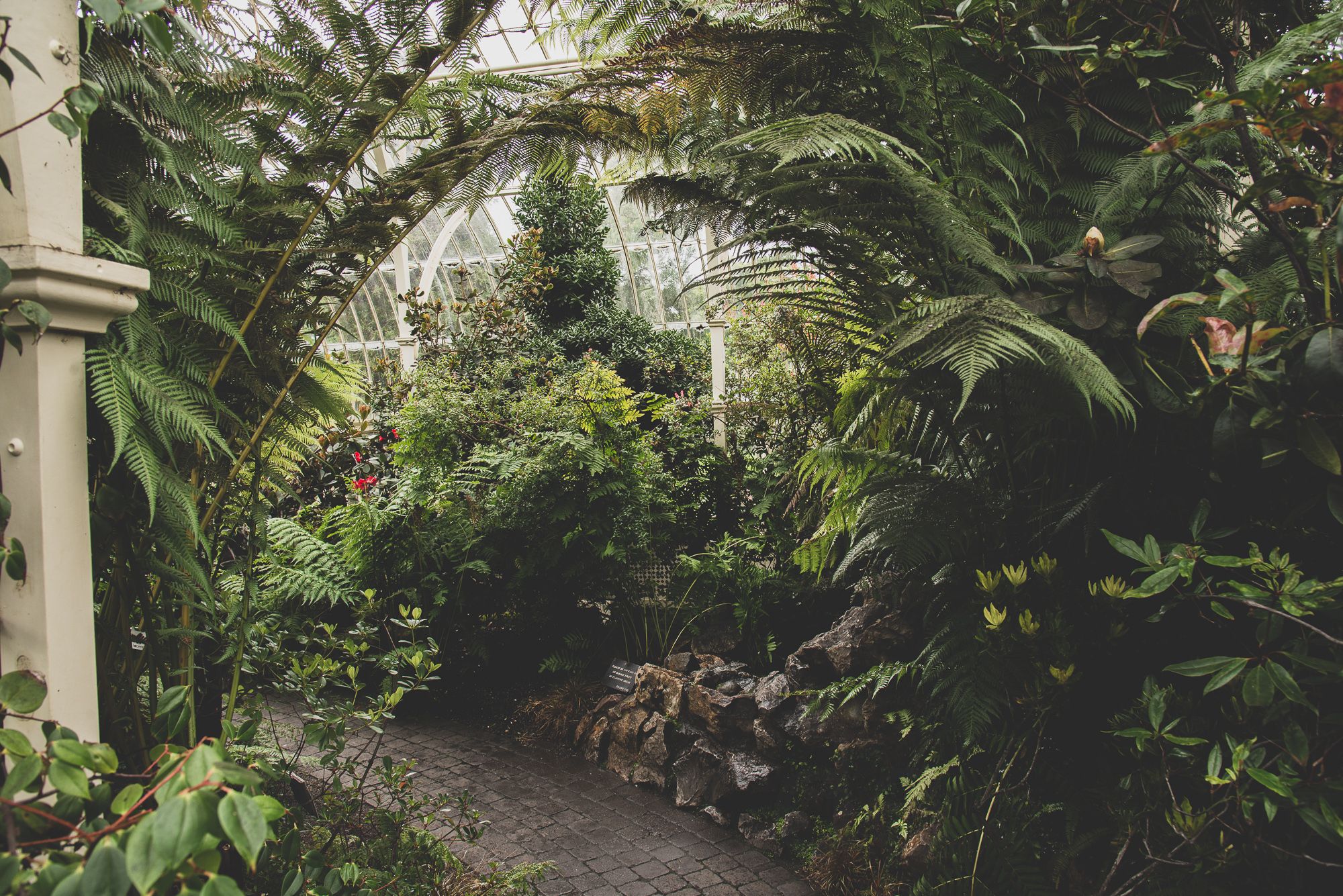 Dublin:  Glasnevin - The National Botanical Gardens of Ireland