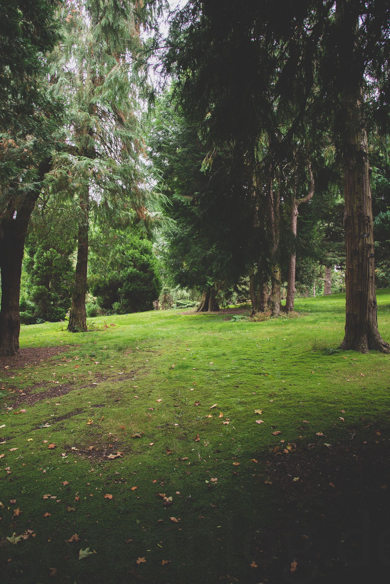 Dublin:  Glasnevin - The National Botanical Gardens of Ireland