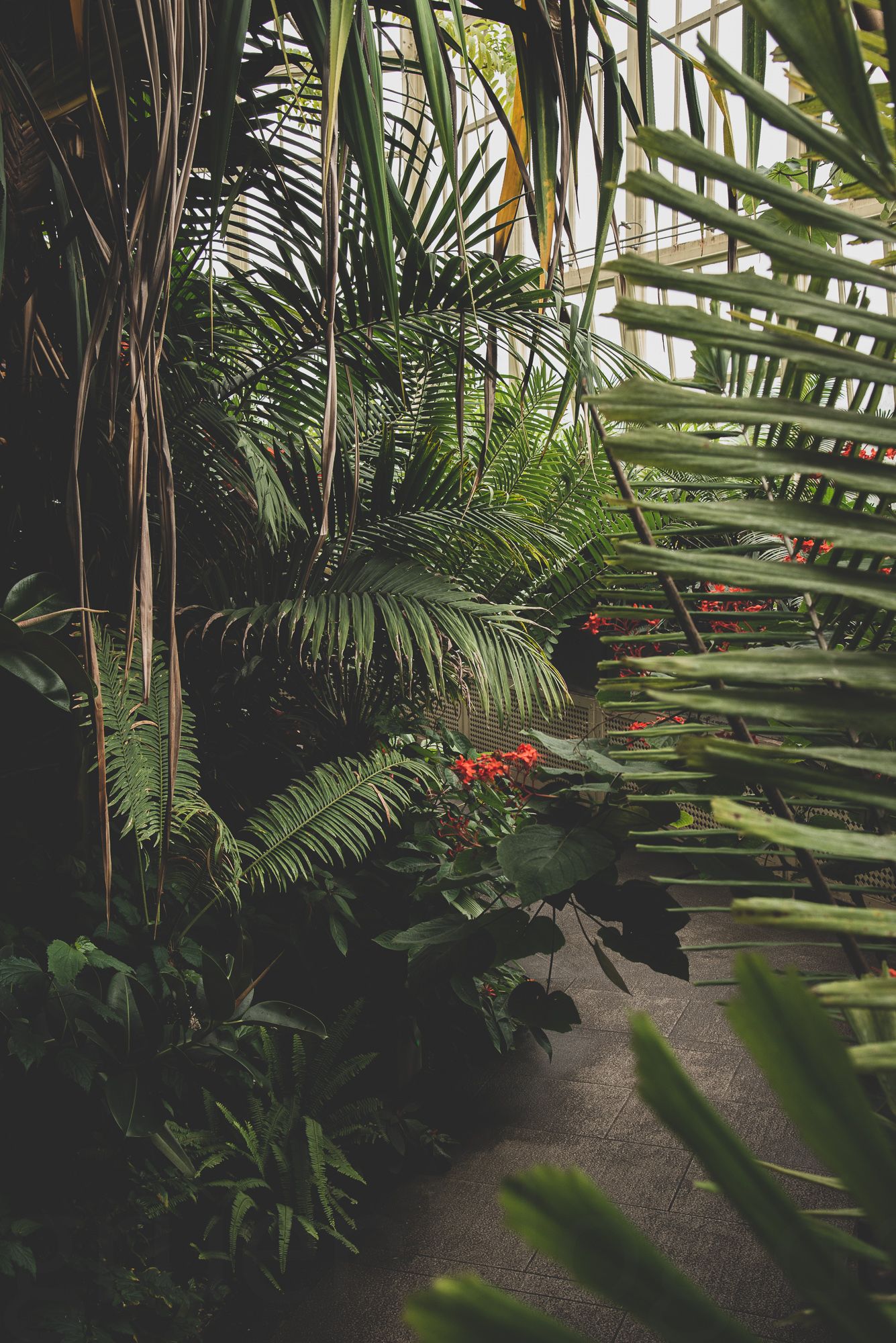 Dublin:  Glasnevin - The National Botanical Gardens of Ireland