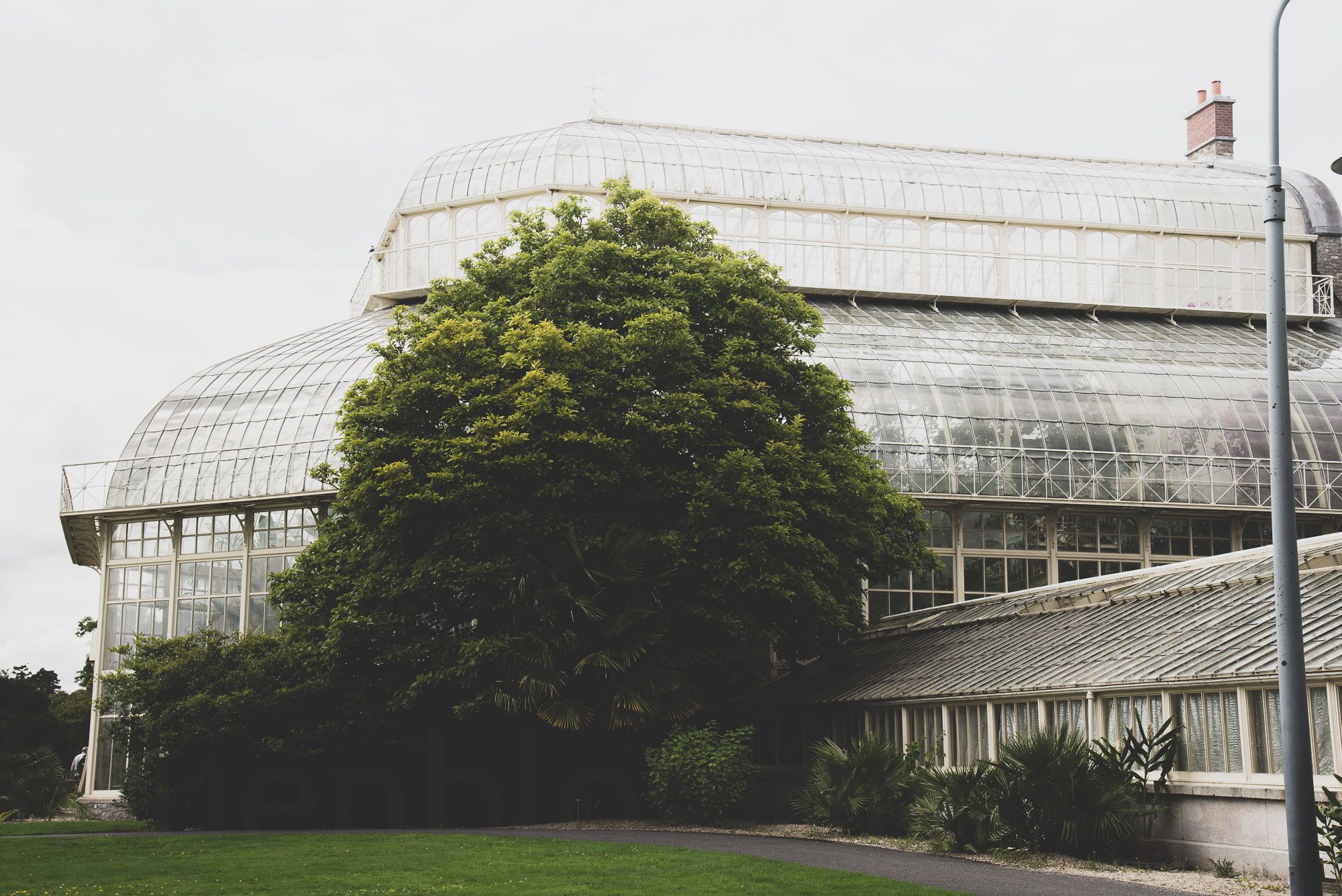 Dublin:  Glasnevin - The National Botanical Gardens of Ireland