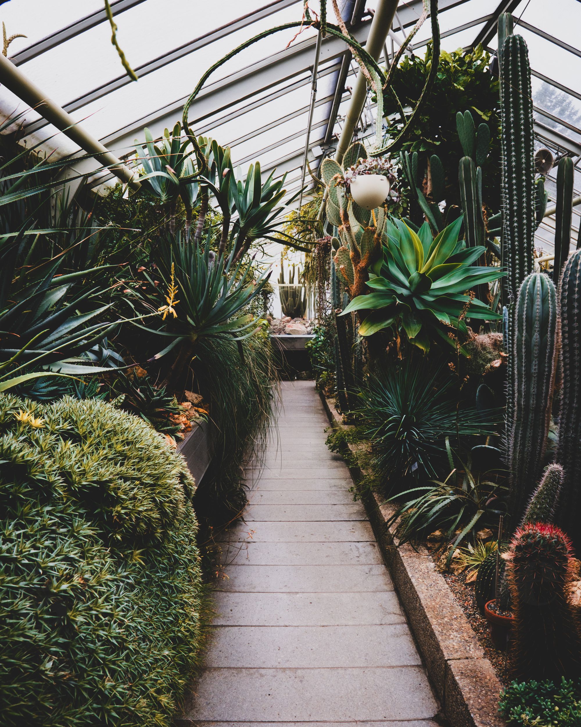 Erlangen: Botanischer Garten Erlangen Eintrittspreise