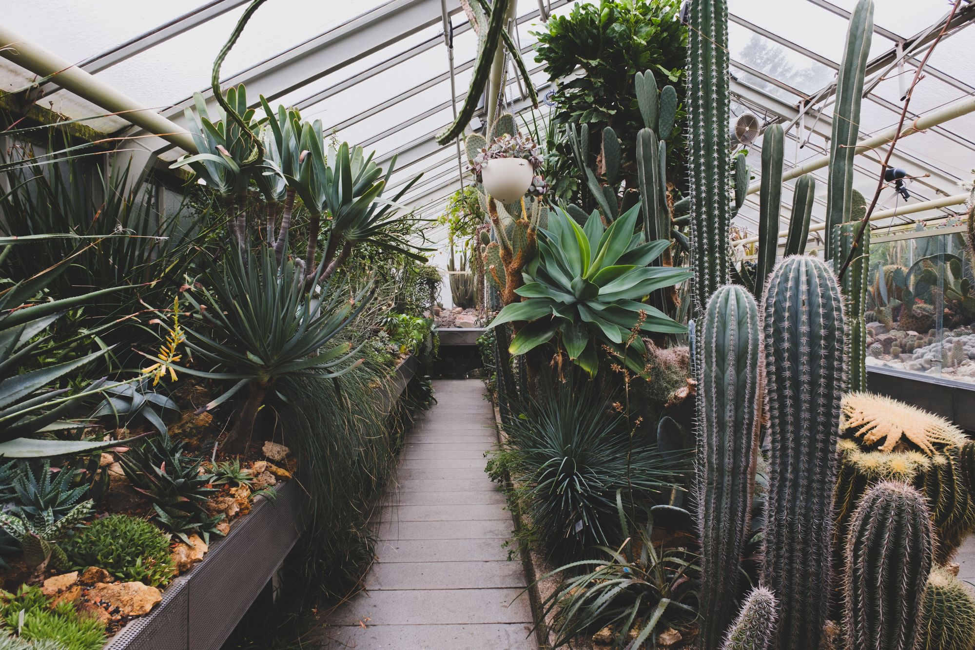 Erlangen: Botanischer Garten Erlangen Eintrittspreise