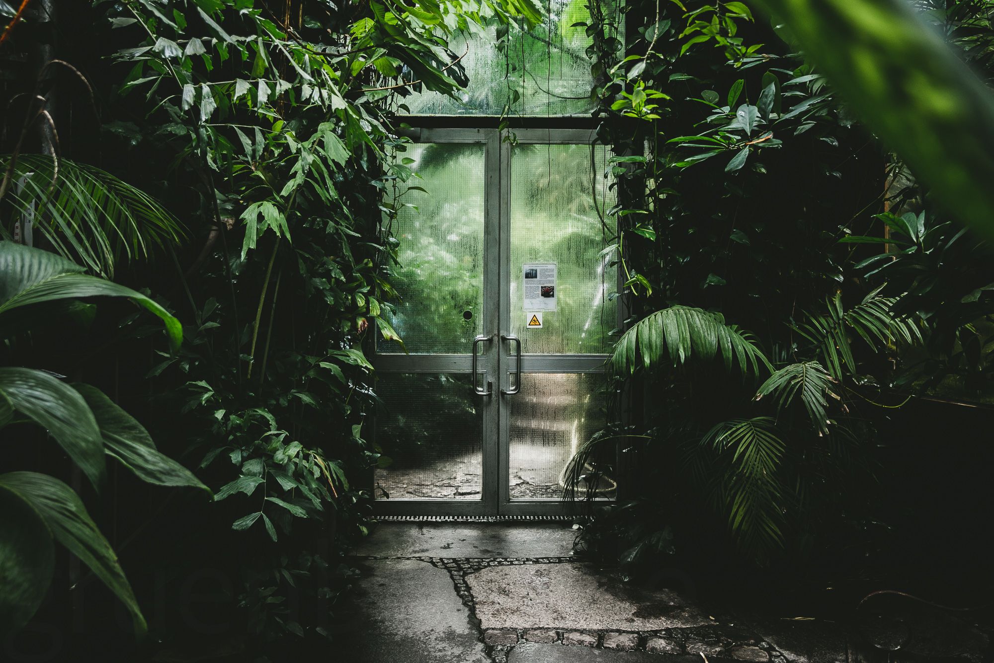 Erlangen: Botanischer Garten der Universität Erlangen