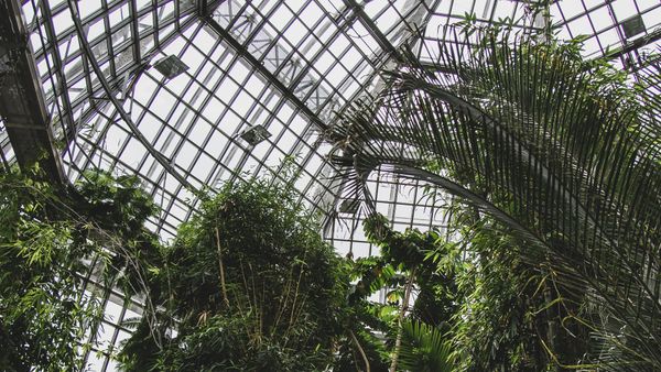 Berlin: Botanischer Garten Berlin