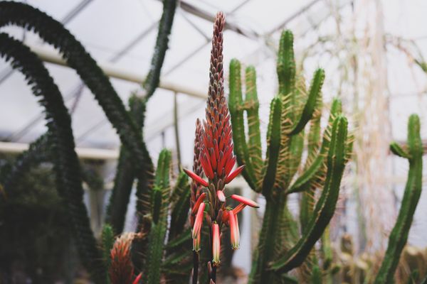 Erlangen: Botanischer Garten Erlangen Eintrittspreise